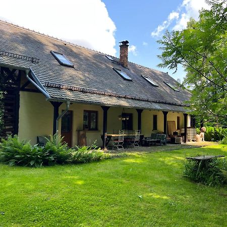 Dom Goscinny Leniuchy Leśna Buitenkant foto