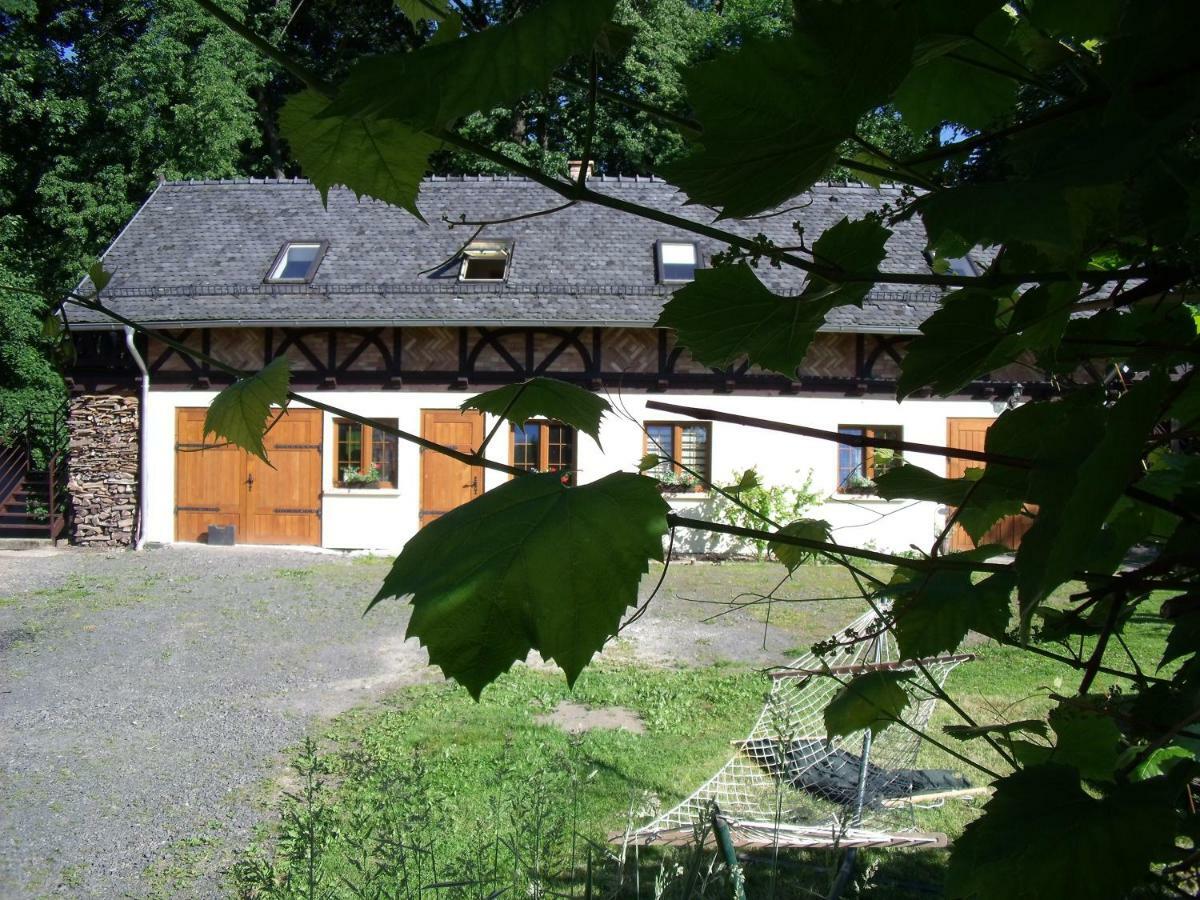 Dom Goscinny Leniuchy Leśna Buitenkant foto