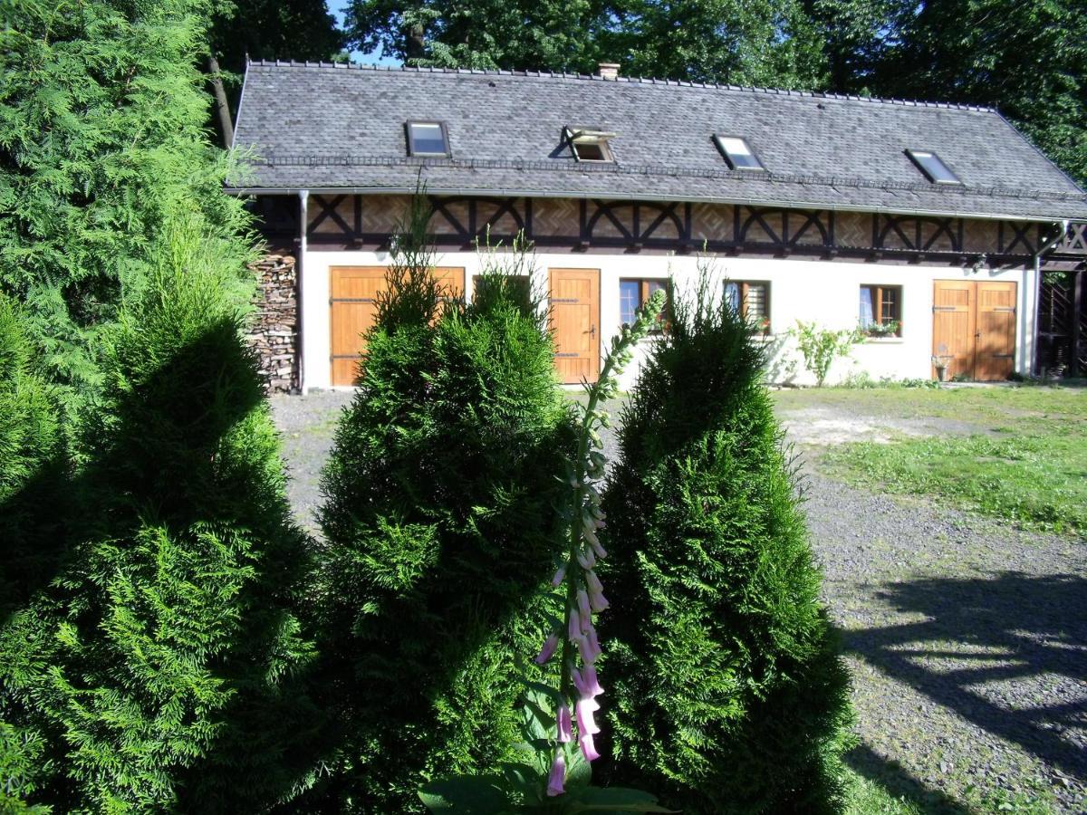 Dom Goscinny Leniuchy Leśna Buitenkant foto
